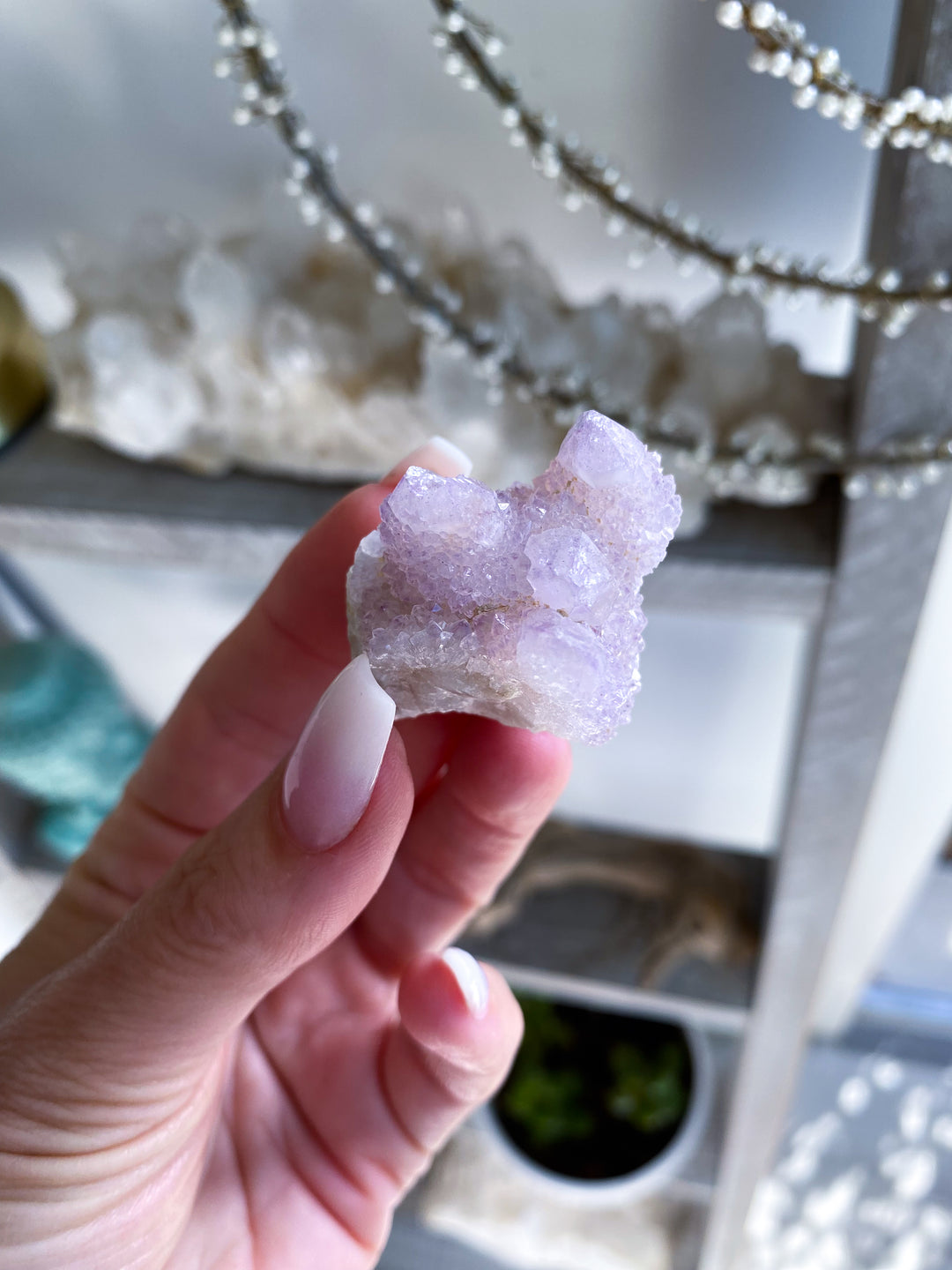Lilac Purple Spirit Quartz #8 - Four Points