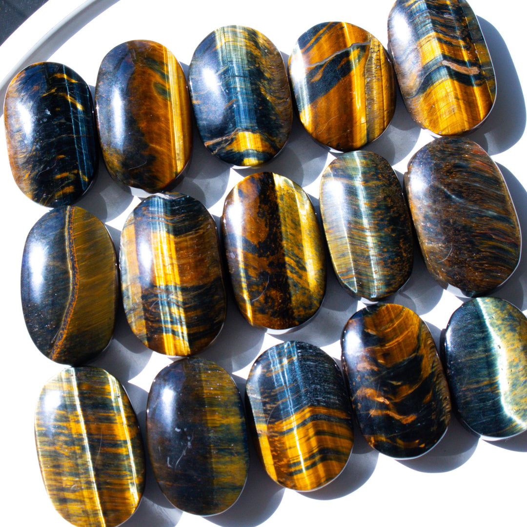 Blue Tiger Eye Palm