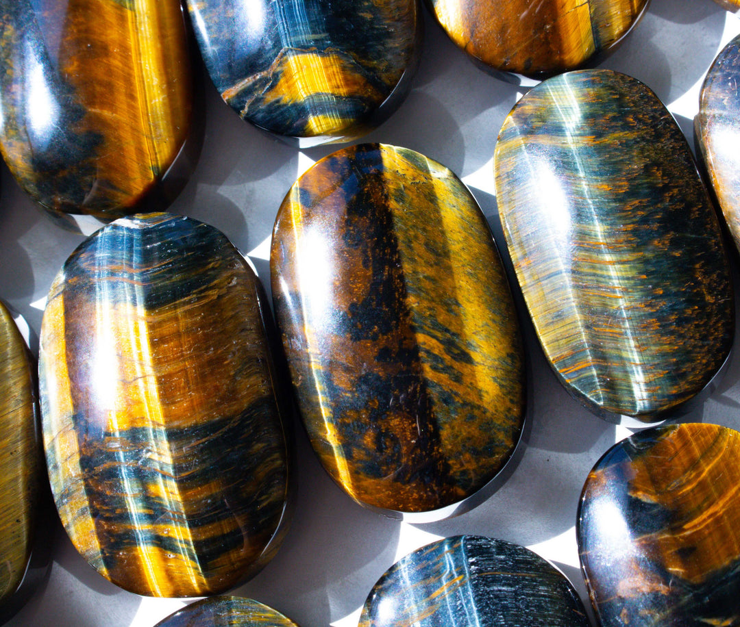 Blue Tiger Eye Palm