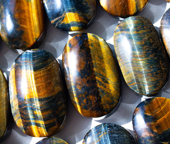 Blue Tiger Eye Palm