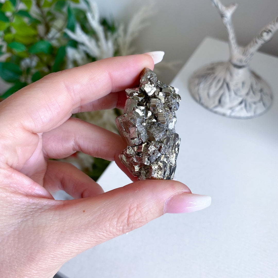 Wealth: Shiny, Unique Pyrite Cluster 