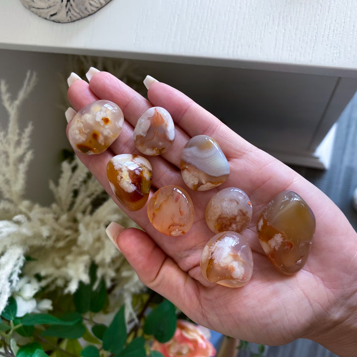 Red Flower Agate Tumble