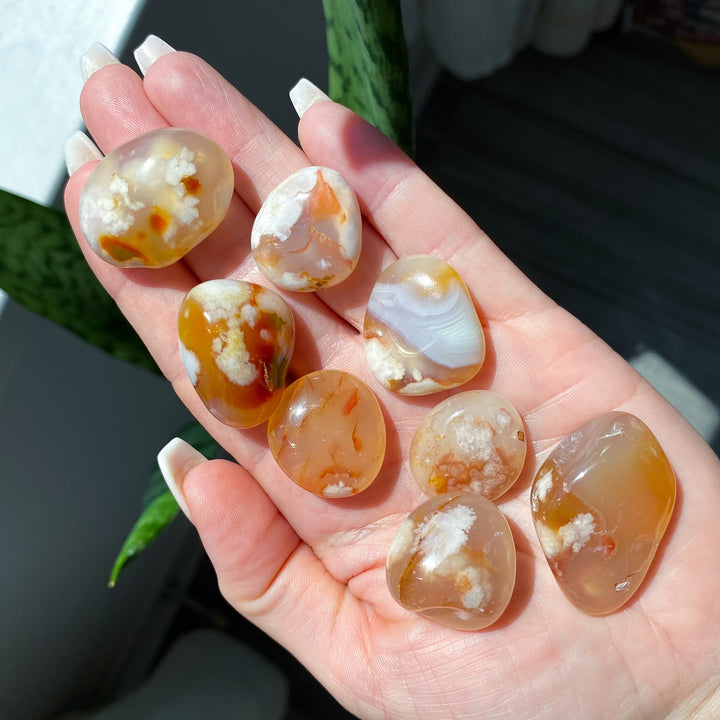 Red Flower Agate Tumble