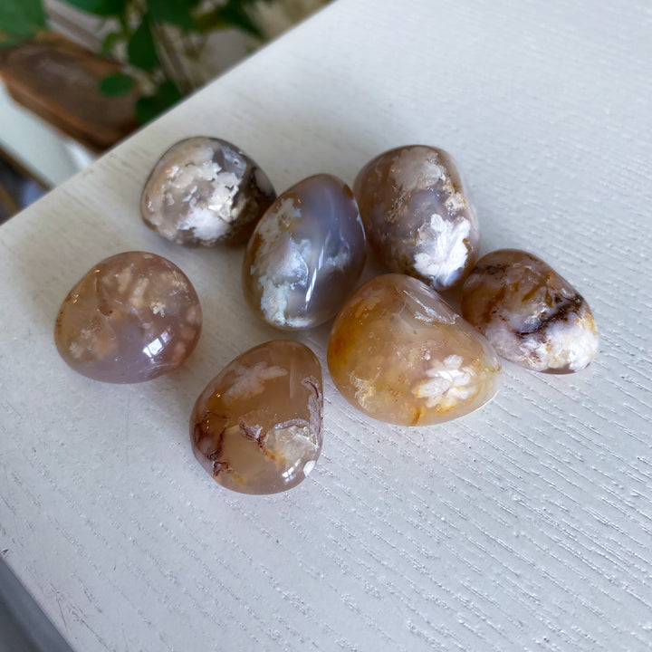 B Quality Flower Agate Tumble