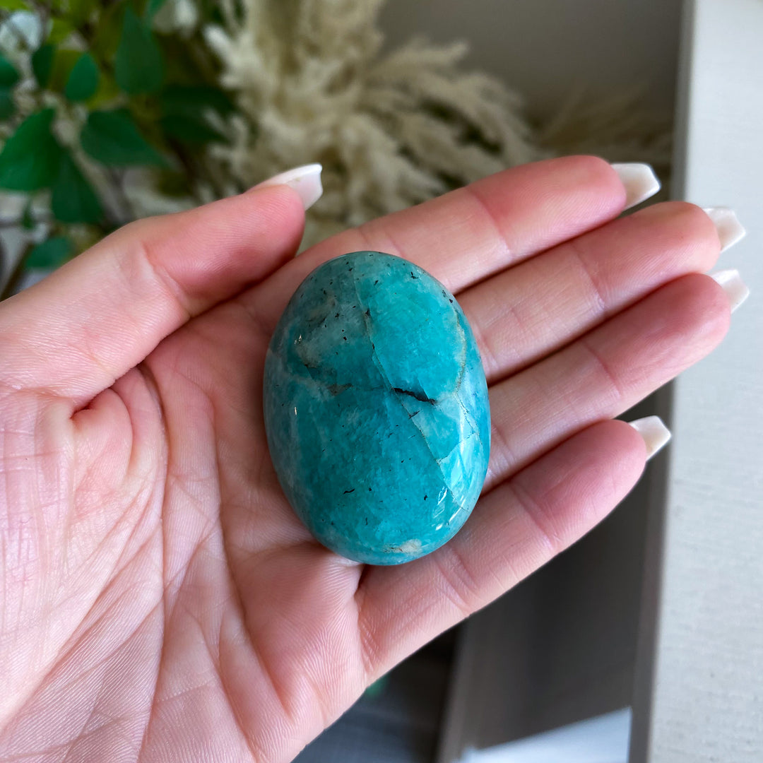 Small Amazonite Palm 