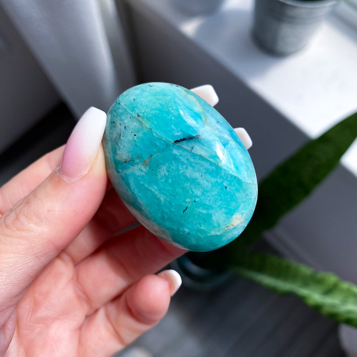 Small Amazonite Palm 