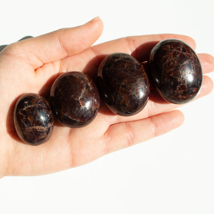 High Quality Garnet Small Palm