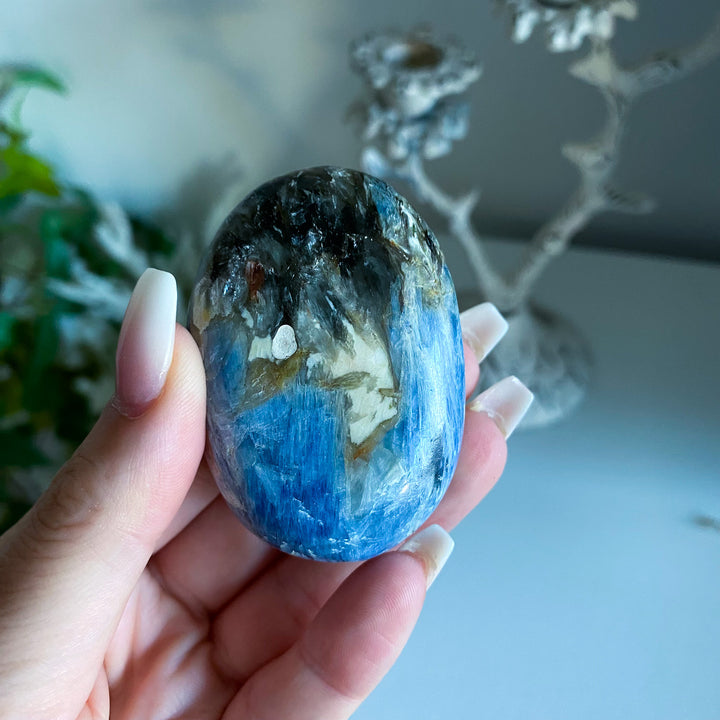 Blue Kyanite Palm 