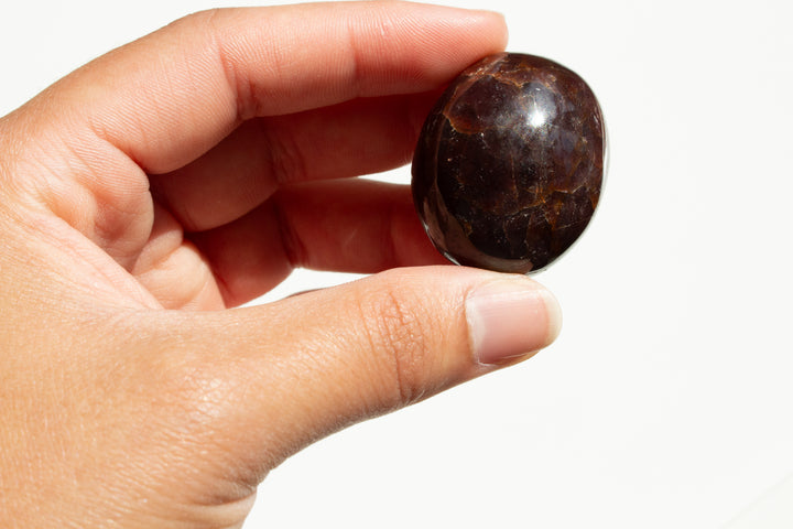 High Quality Garnet Small Palm