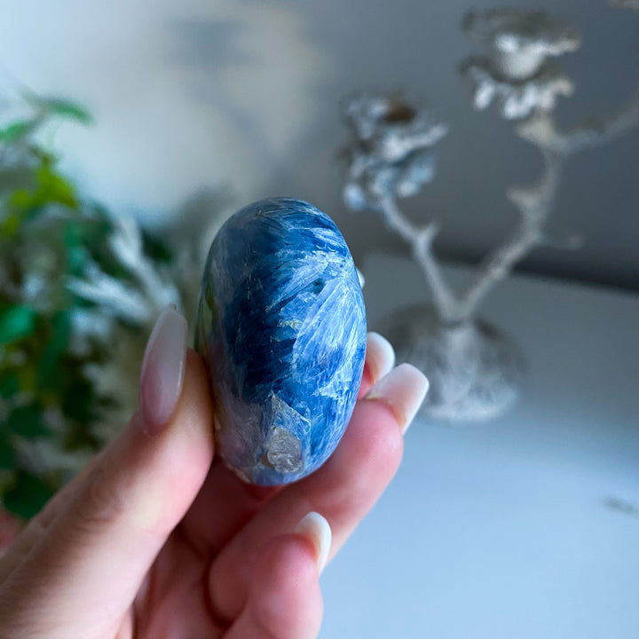 Blue Kyanite Palm 