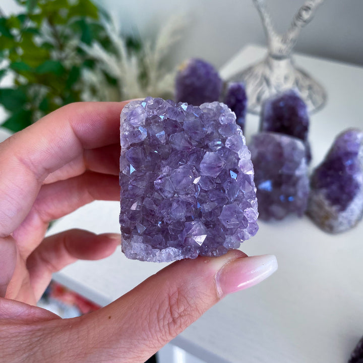 Small Amethyst Cluster