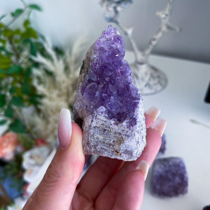 Small Amethyst Cluster