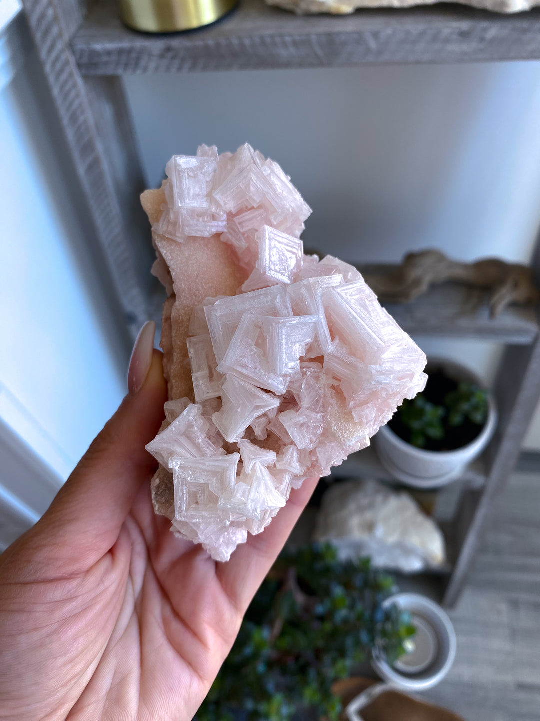 Pink Halite Cluster #1