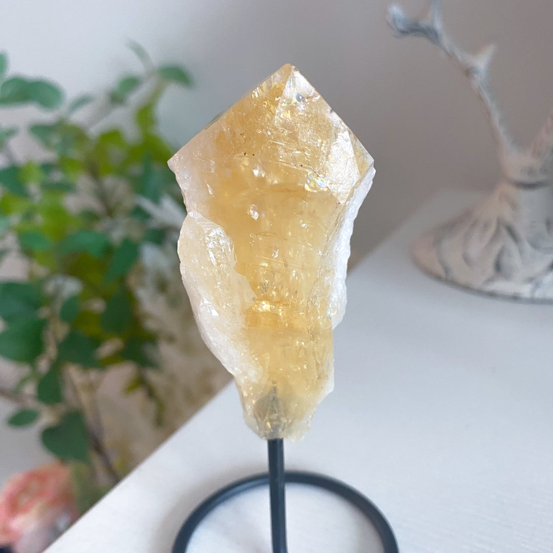 Raw Citrine on Stand