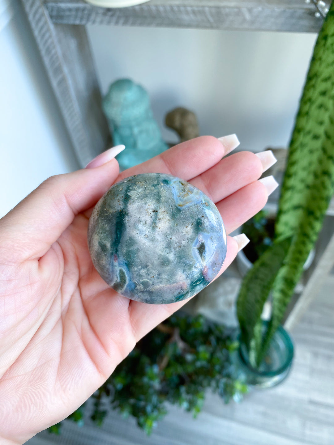 B Quality Ocean Jasper Palm #1