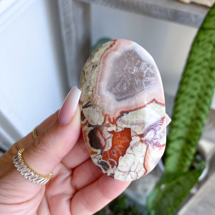 Large Money Agate Indonesian Bloodstone Palm Stone #2
