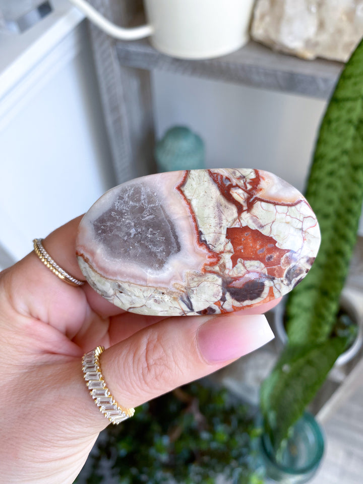 Large Money Agate Indonesian Bloodstone Palm Stone #2