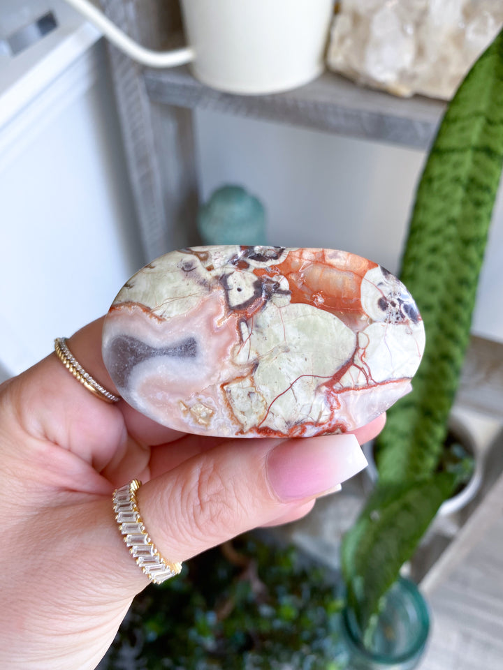 Large Money Agate Indonesian Bloodstone Palm Stone #2