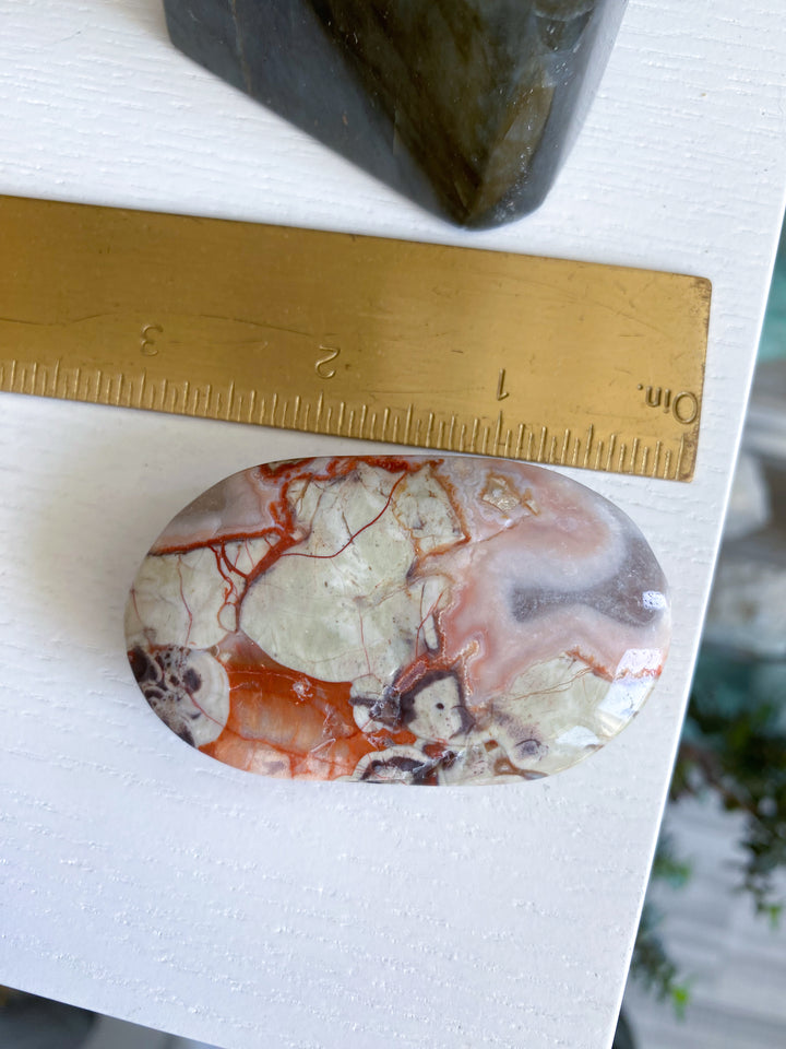 Large Money Agate Indonesian Bloodstone Palm Stone #2