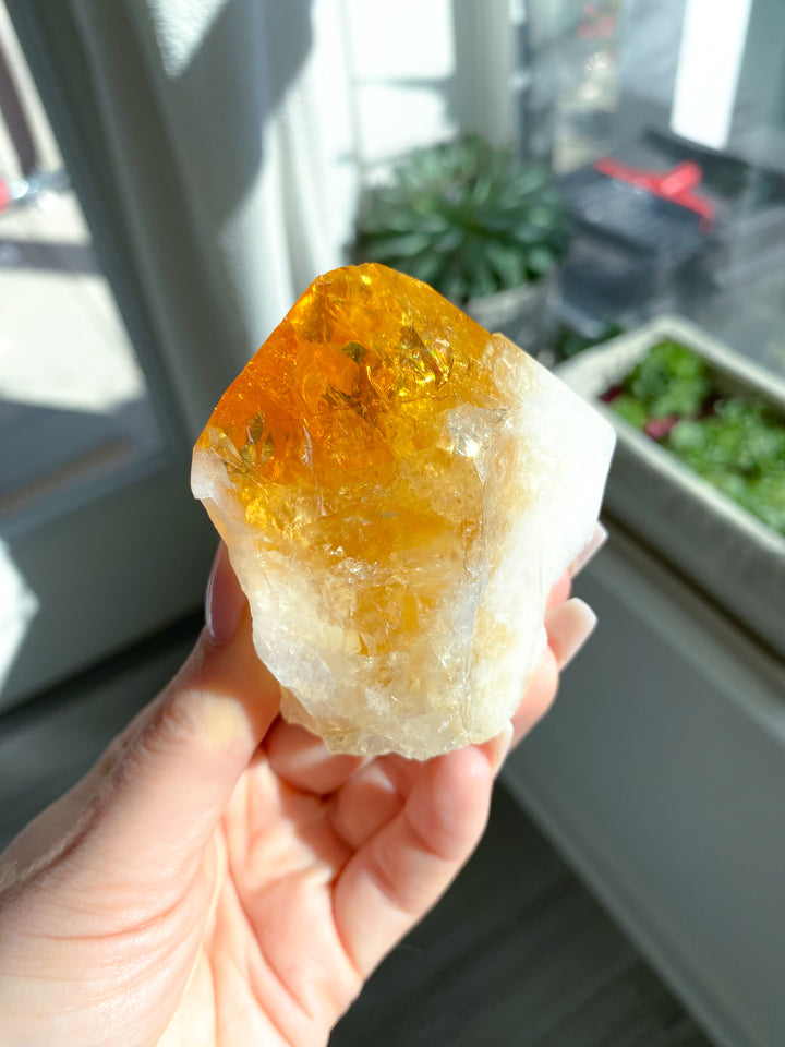 PROSPERITY: Citrine Point Top Polish Tower #2