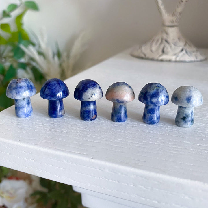 Sodalite Mini Mushroom