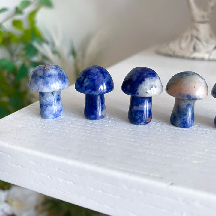 Sodalite Mini Mushroom