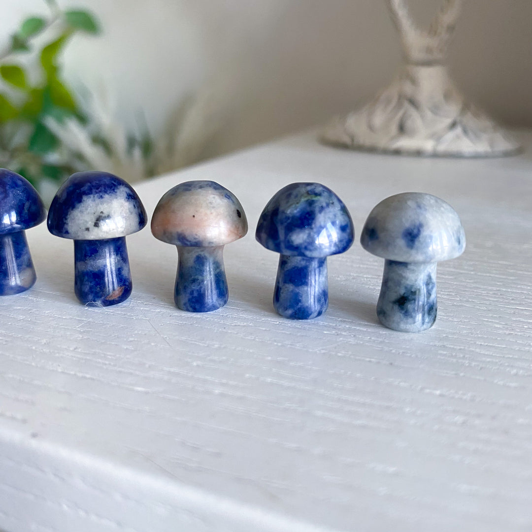 Sodalite Mini Mushroom