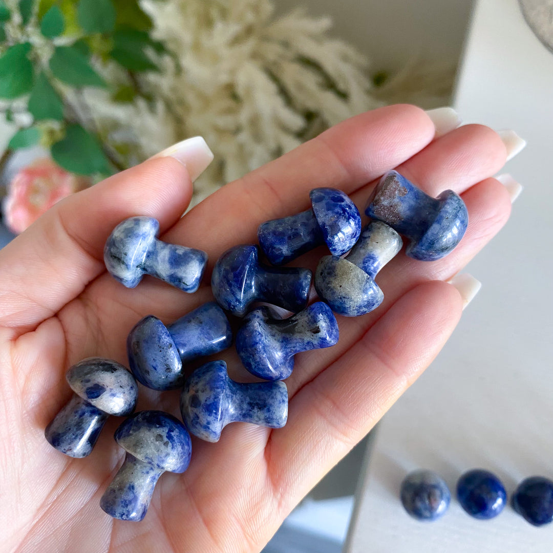 Sodalite Mini Mushroom