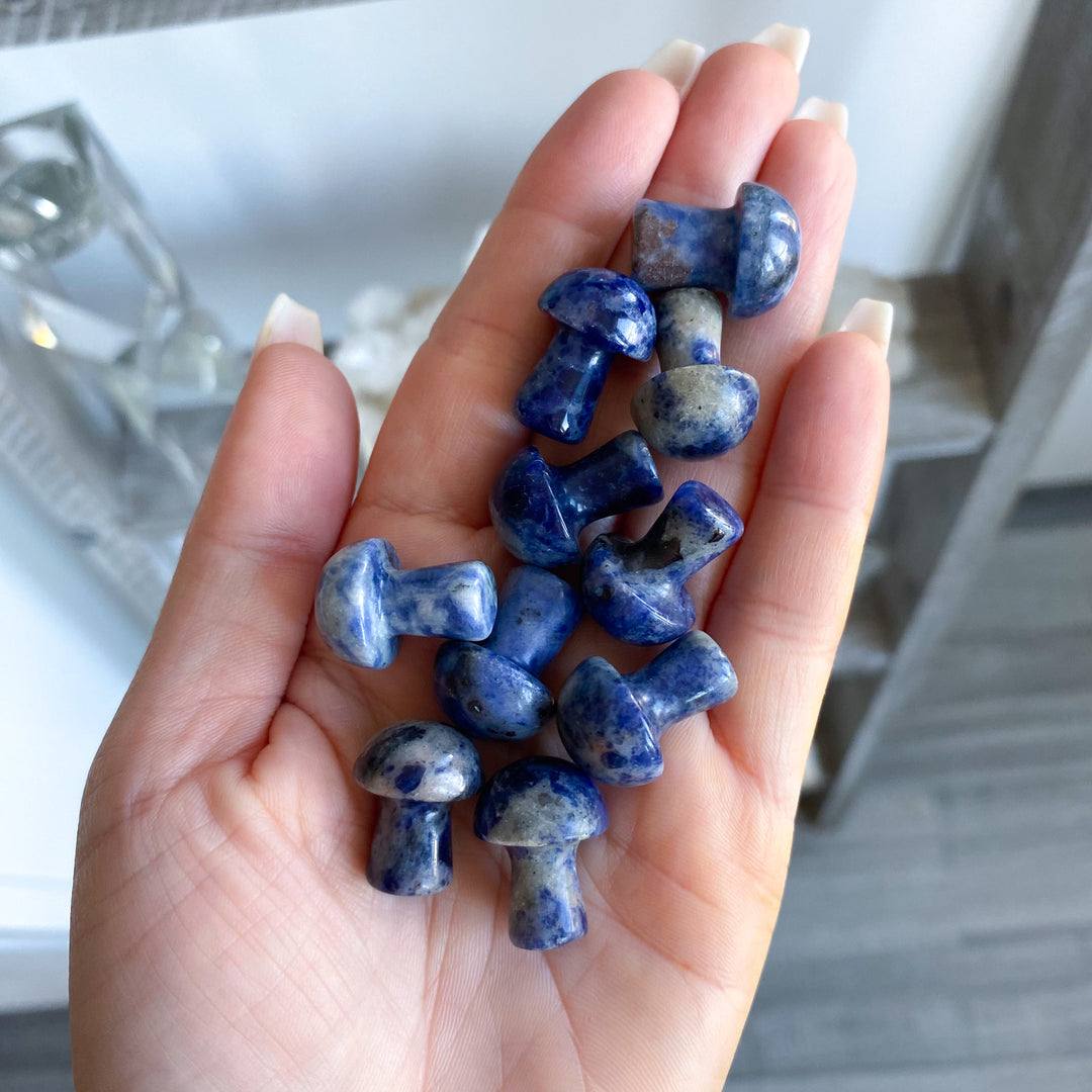 Sodalite Mini Mushroom