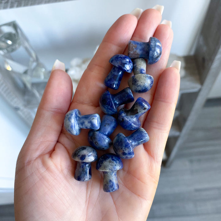 Sodalite Mini Mushroom