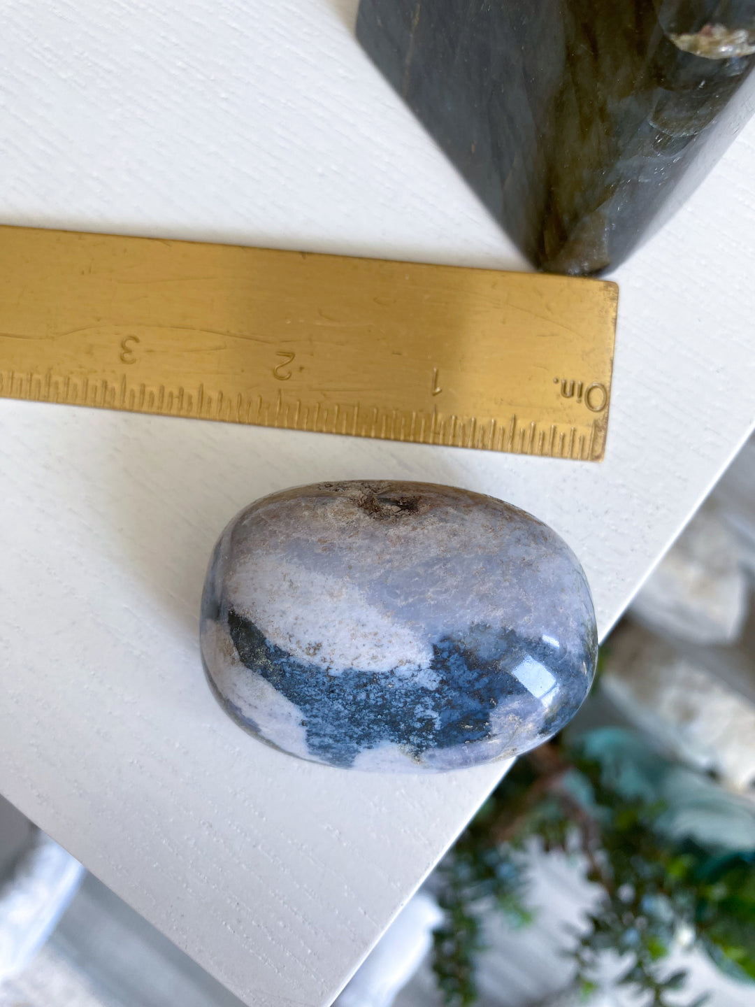 Ocean Jasper Palm #1