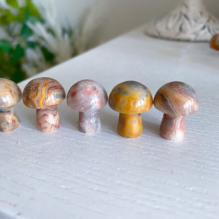 Crazy Lace Agate Mini Mushroom