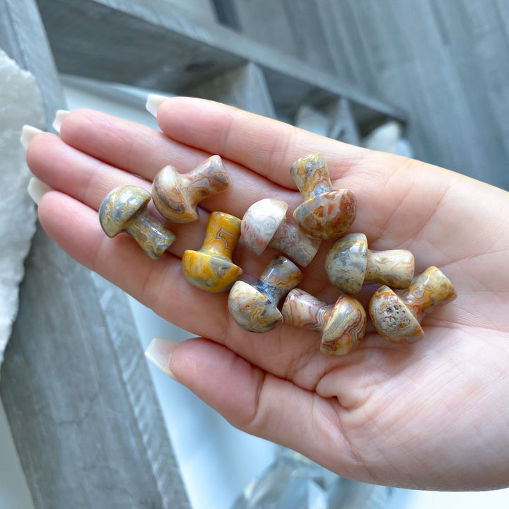 Crazy Lace Agate Mini Mushroom
