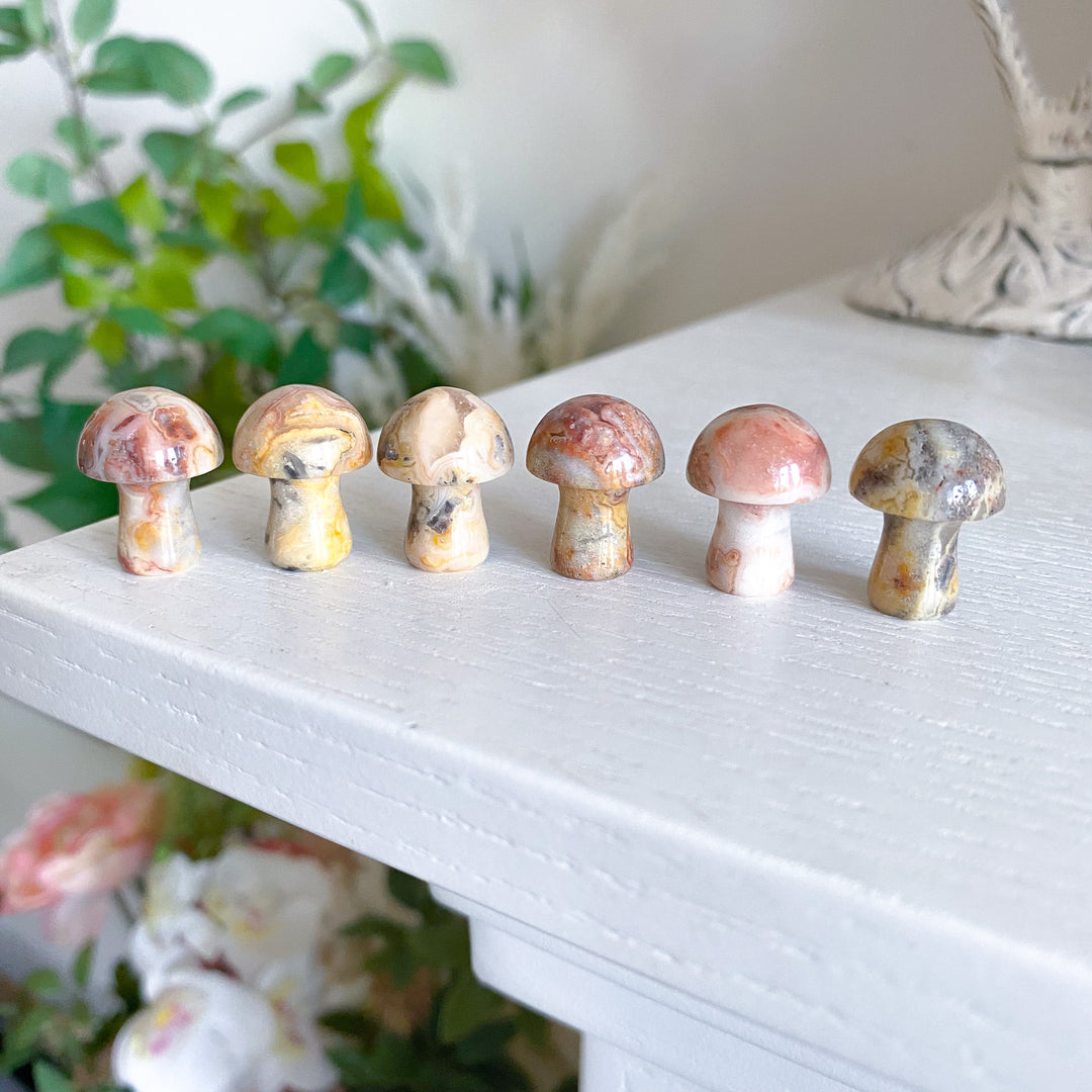 Crazy Lace Agate Mini Mushroom
