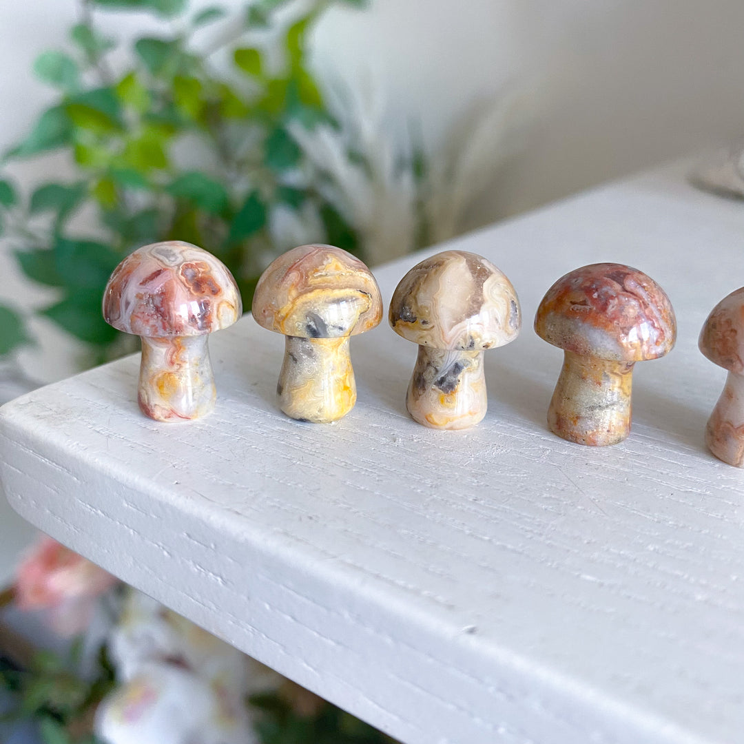 Crazy Lace Agate Mini Mushroom