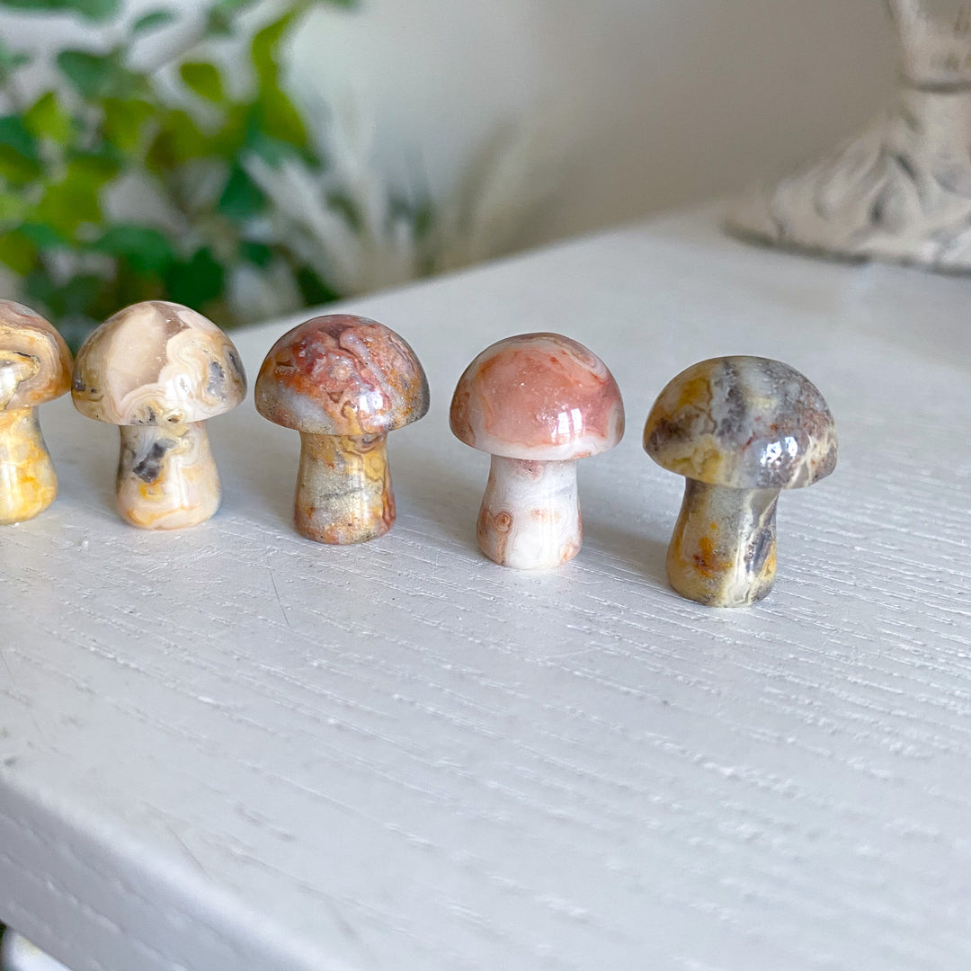 Crazy Lace Agate Mini Mushroom