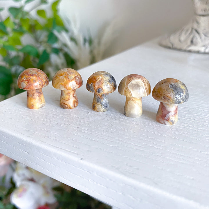 Crazy Lace Agate Mini Mushroom