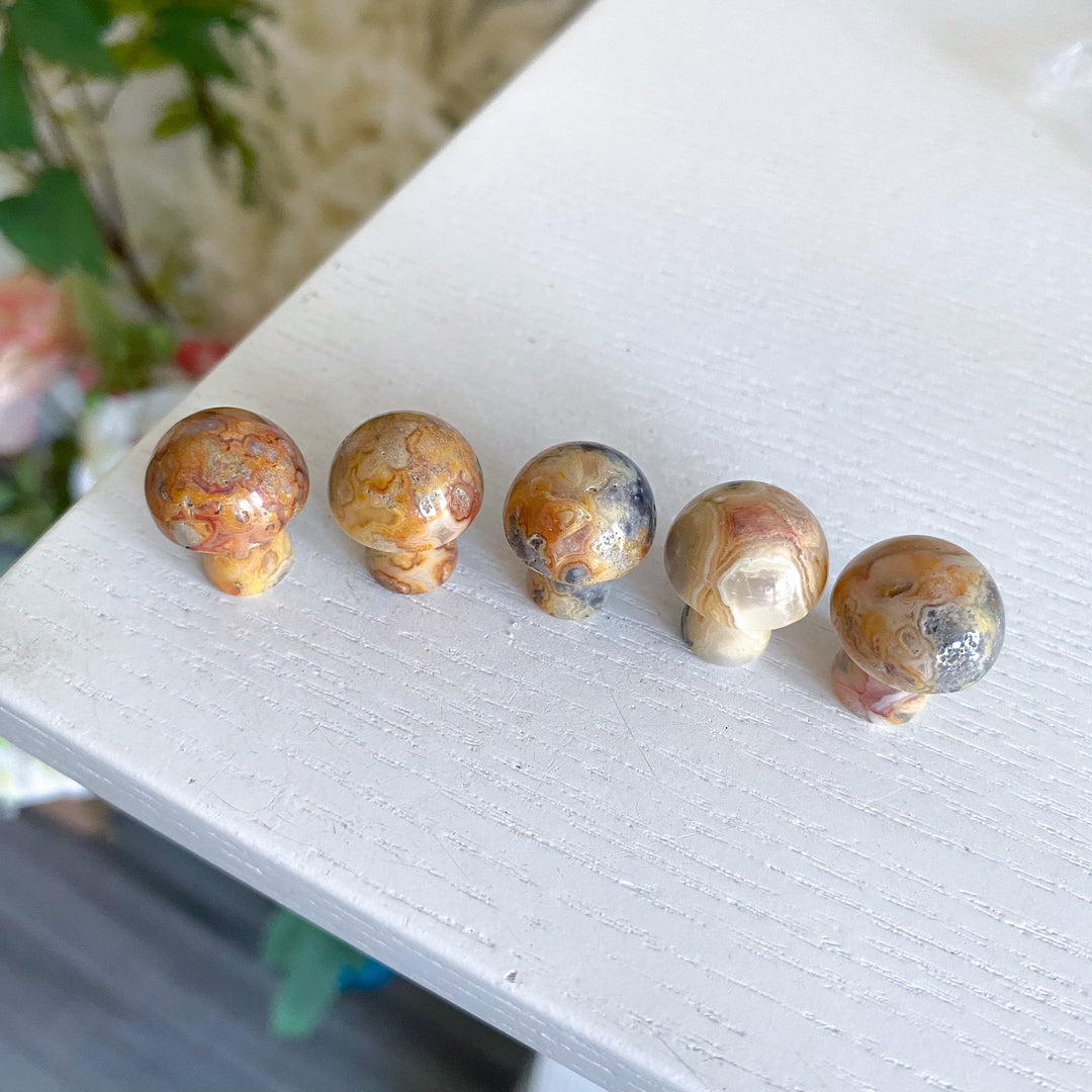 Crazy Lace Agate Mini Mushroom