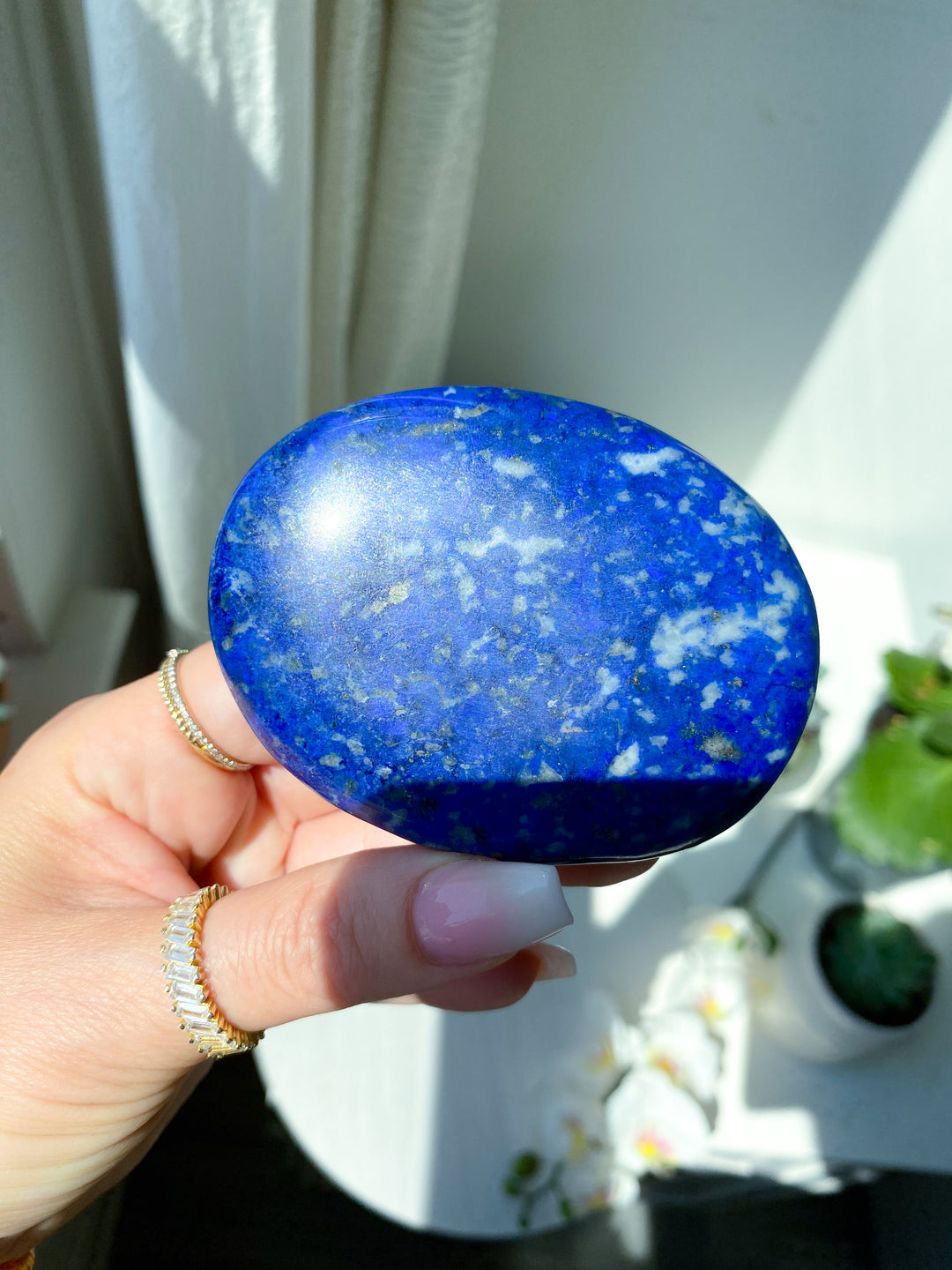 XL Flat Lapis Palm