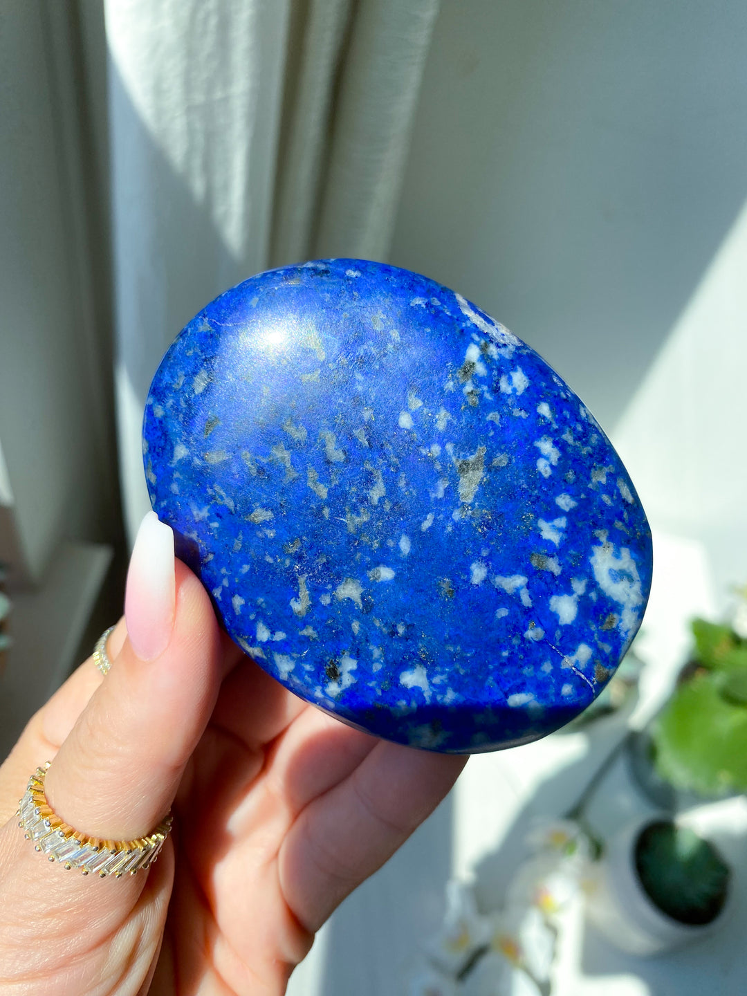 XL Flat Lapis Palm