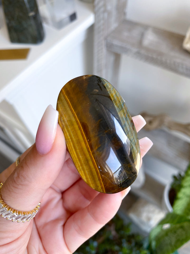 Unique Blue Tiger Eye Palm #1