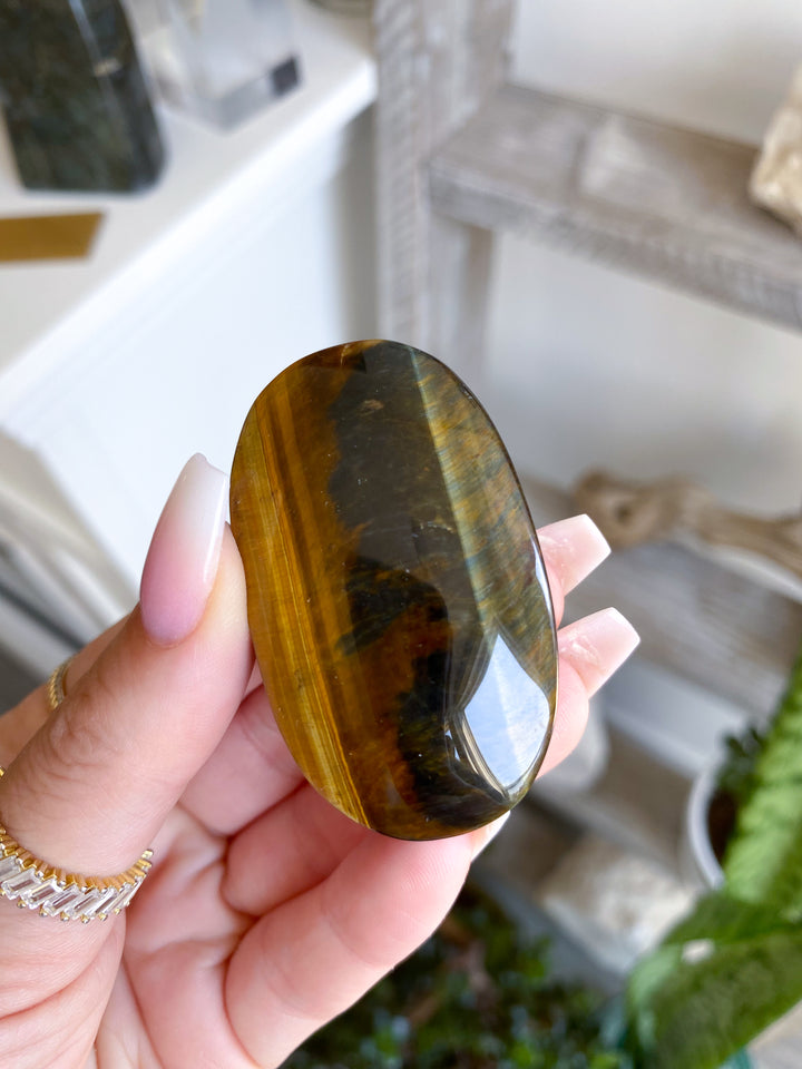 Unique Blue Tiger Eye Palm #1
