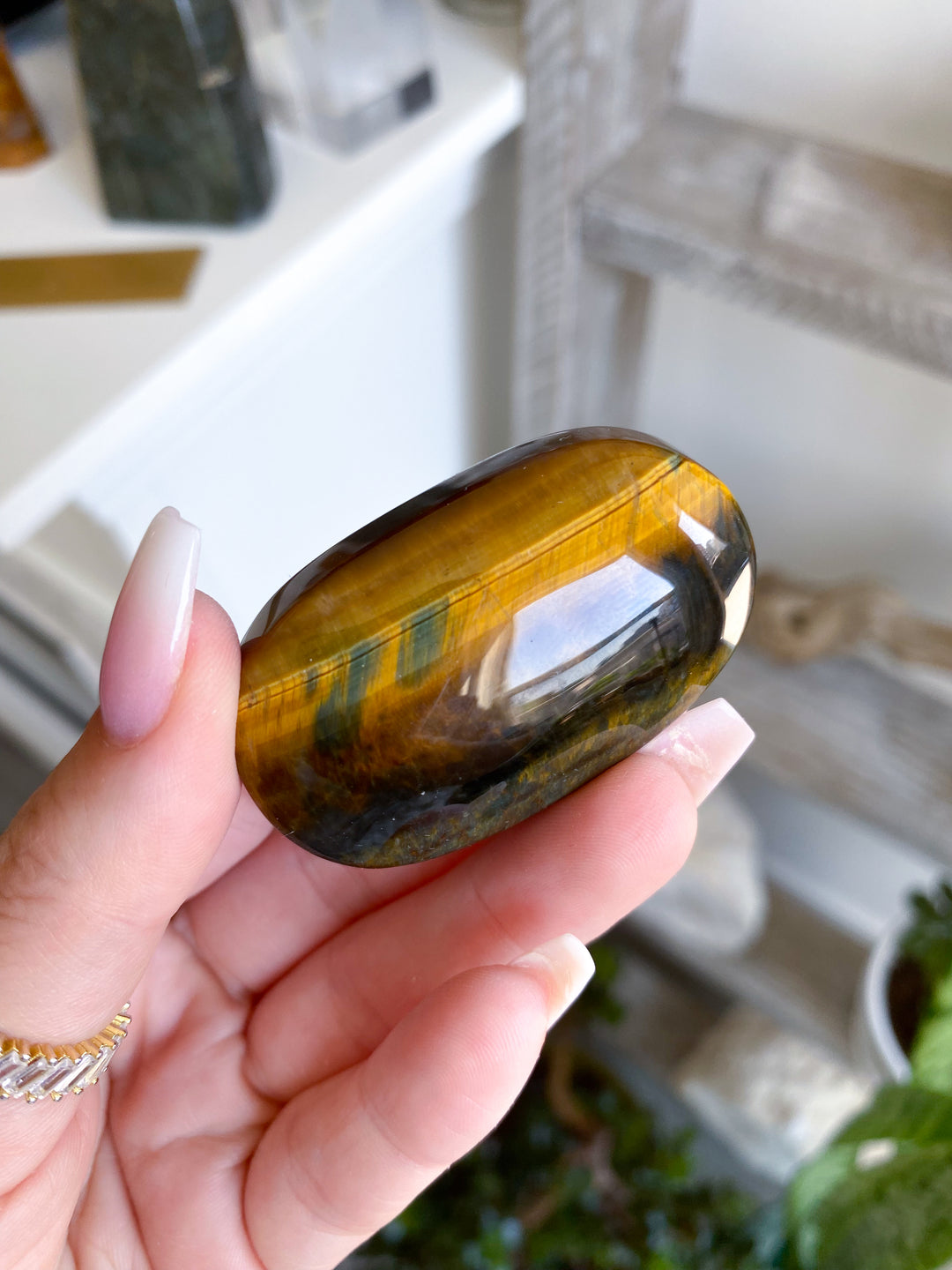 Unique Blue Tiger Eye Palm #1