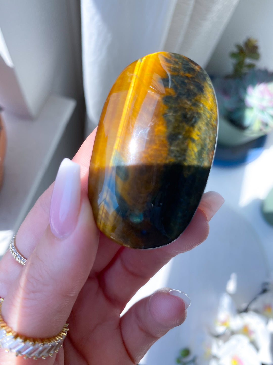 Unique Blue Tiger Eye Palm #1