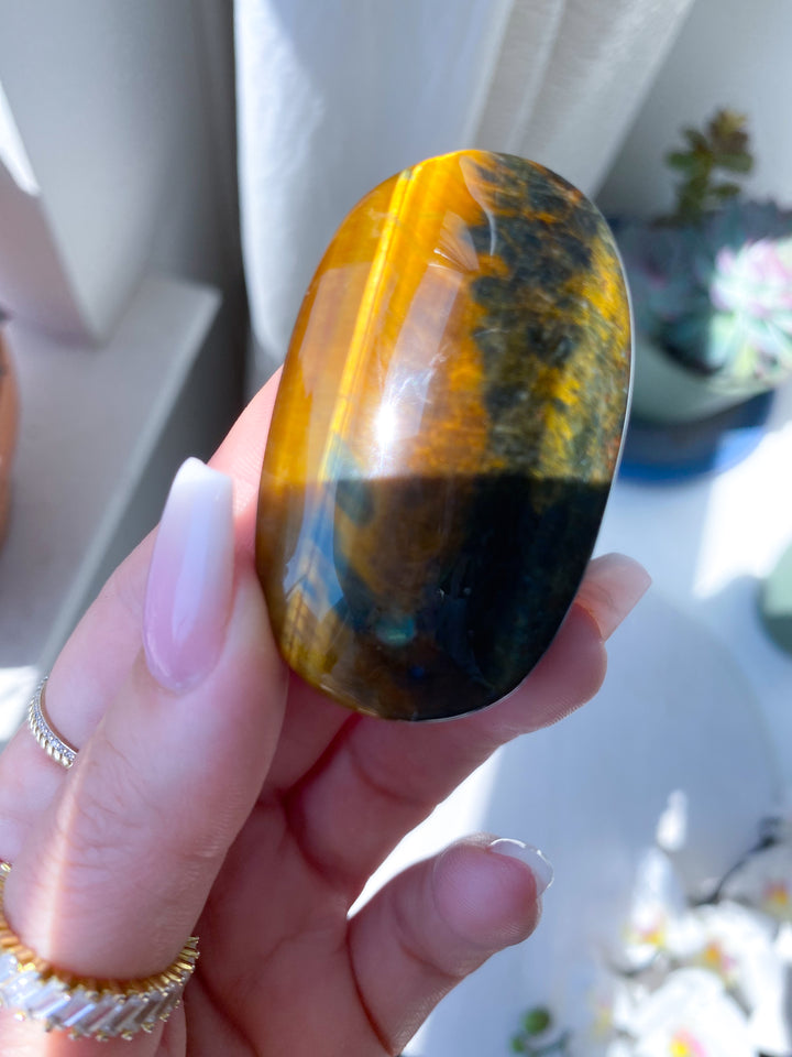 Unique Blue Tiger Eye Palm #1