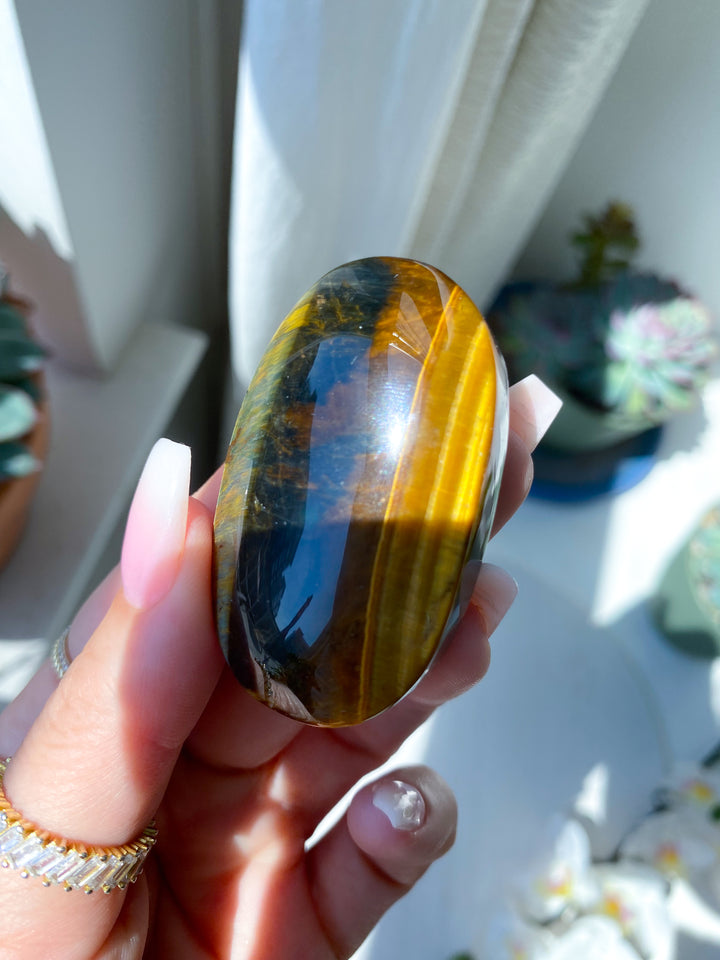Unique Blue Tiger Eye Palm #1