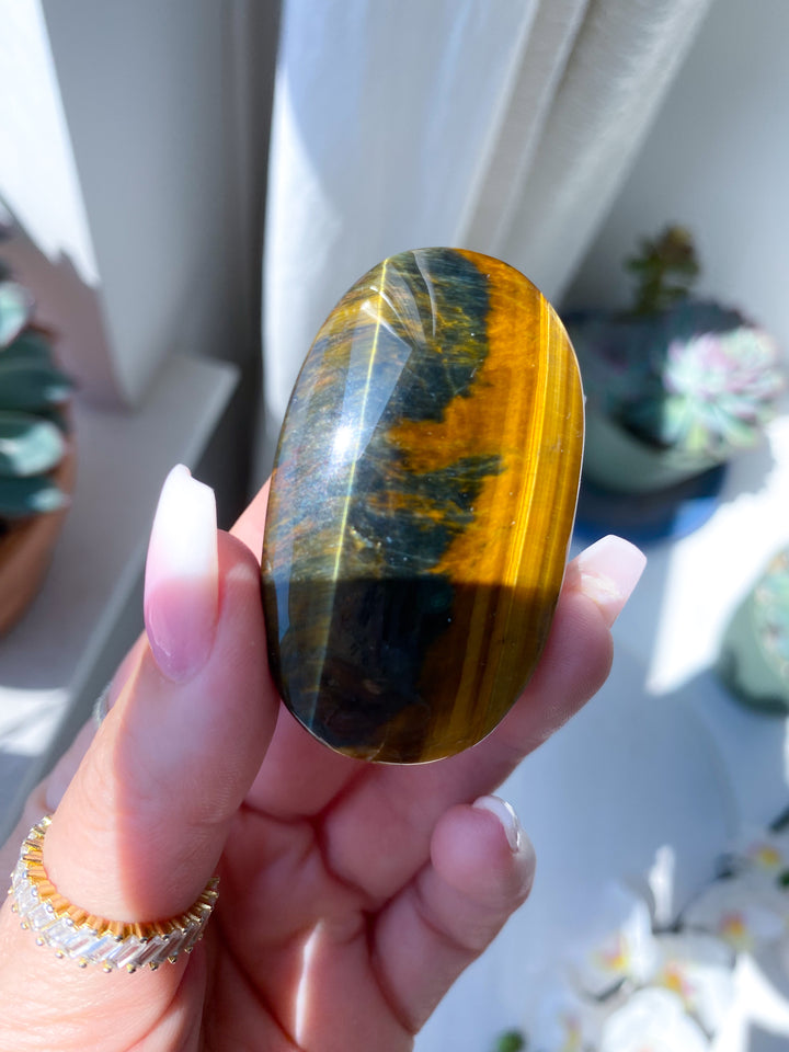 Unique Blue Tiger Eye Palm #1