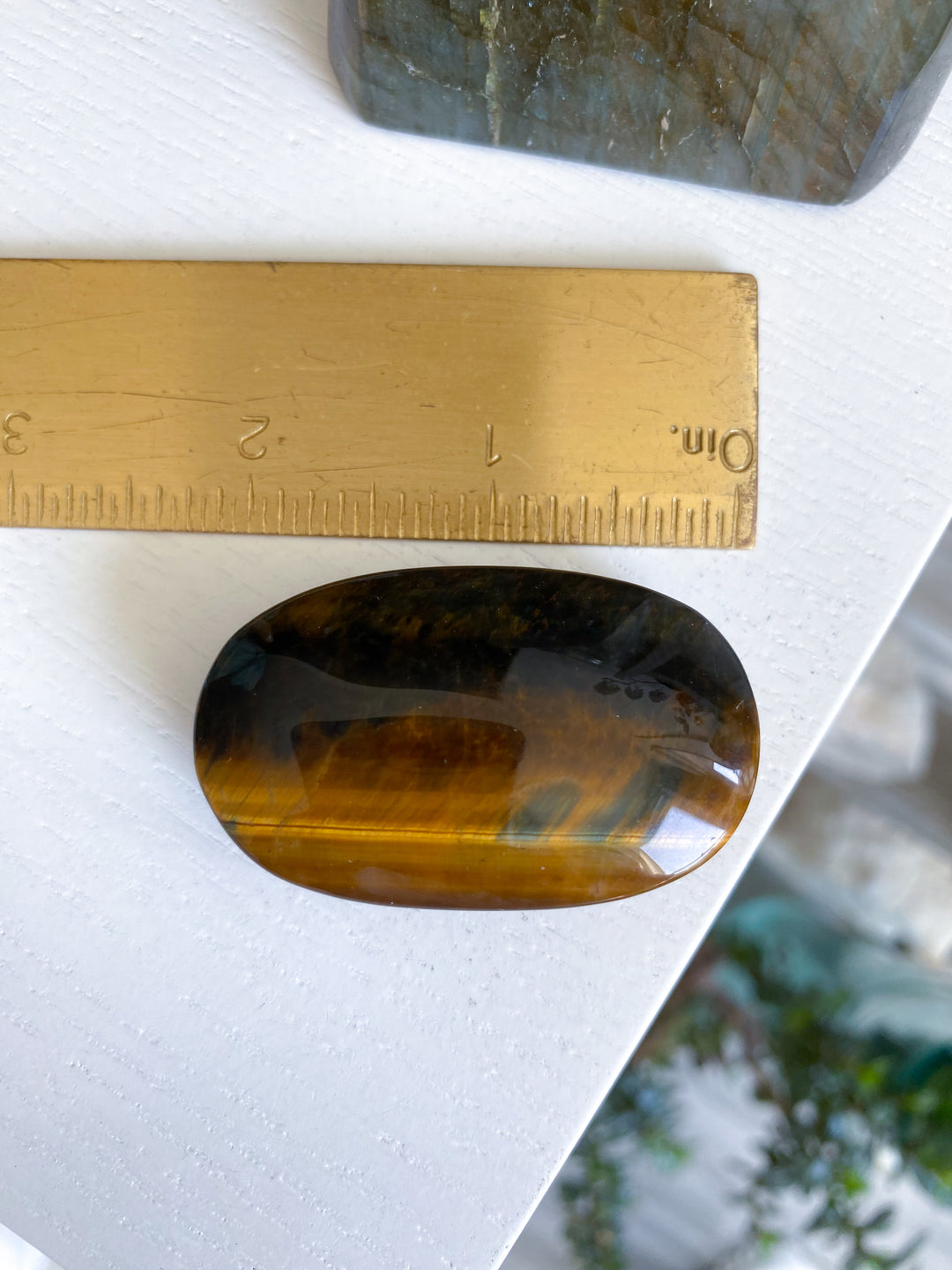 Unique Blue Tiger Eye Palm #1