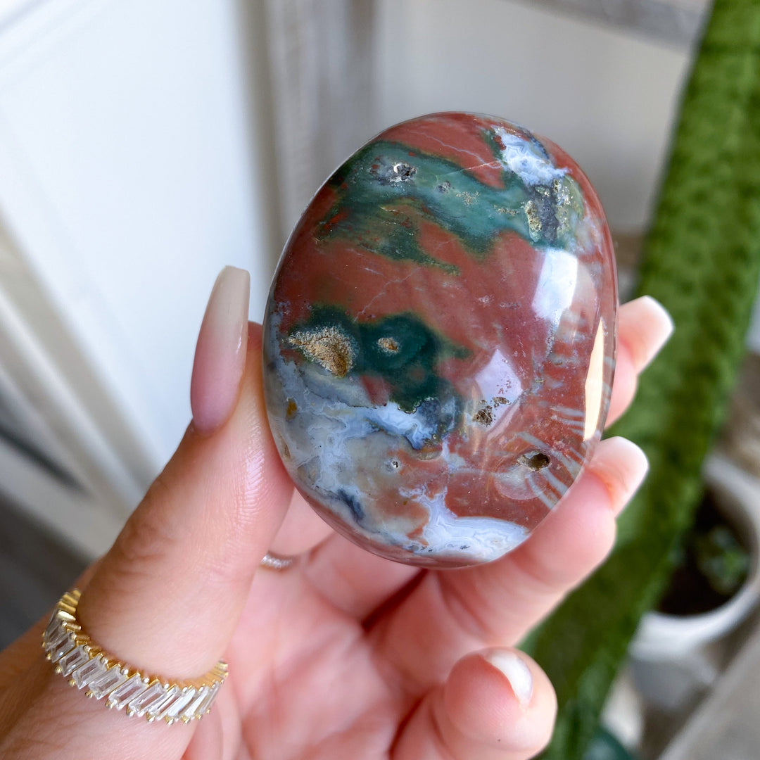 Ocean Jasper Palm #4