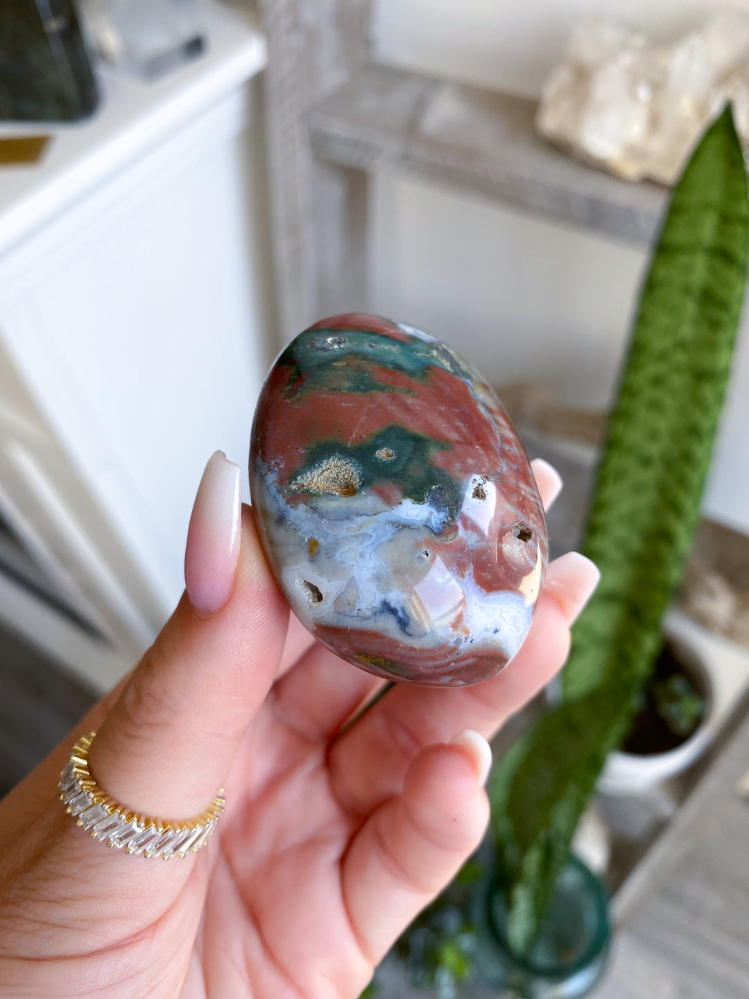 Ocean Jasper Palm #4